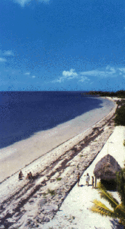 a picture of the beach